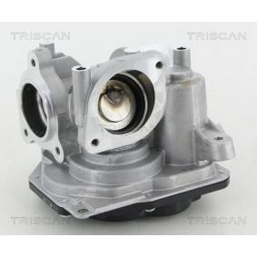 Acquista Valvola EGR da TRISCAN 8813 10031 a buon mercato per soli 486,39 €
