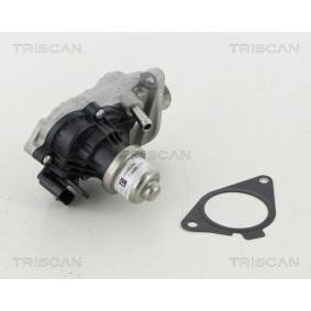 Acquista Valvola EGR da TRISCAN 8813 11007 a buon mercato per soli 246,50 €
