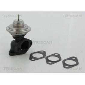 Acquista Valvola EGR da TRISCAN 8813 12100 a buon mercato per soli 395,36 €