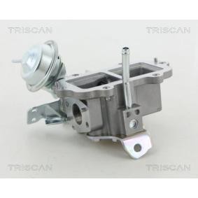 Acquista Valvola EGR da TRISCAN 8813 13056 a buon mercato per soli 156,19 €