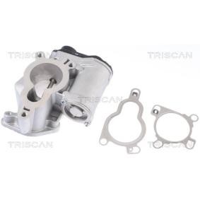 Acquista Valvola EGR da TRISCAN 8813 14025 a buon mercato per soli 353,40 €