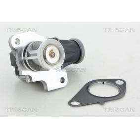 Acquista Valvola EGR da TRISCAN 8813 25040 a buon mercato per soli 192,93 €