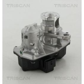 Acquista Valvola EGR da TRISCAN 8813 25042 a buon mercato per soli 373,67 €