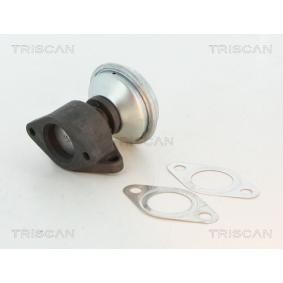 Acquista Valvola EGR da TRISCAN 8813 27100 a buon mercato per soli 57,52 €