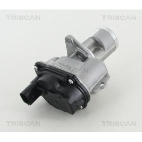 Acquista Valvola EGR da TRISCAN 8813 29065 a buon mercato per soli 216,95 €