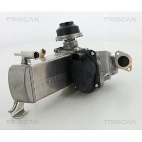Acquista Valvola EGR da TRISCAN 8813 29071 a buon mercato per soli 1049,53 €