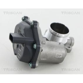 Acquista Valvola EGR da TRISCAN 8813 29315 a buon mercato per soli 152,92 €