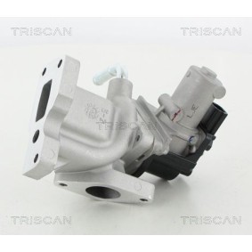 Acquista Valvola EGR da TRISCAN 8813 44031 a buon mercato per soli 568,93 €