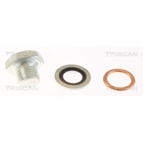 Acquista Vite di chiusura, vaschetta dell'olio da TRISCAN 9500 1006 a buon mercato per soli 4,28 €