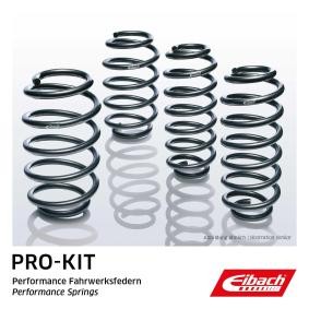 Fahrwerksatz, Federn E10-81-016-01-22