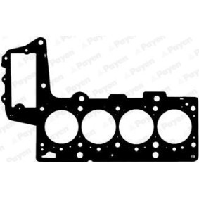 Acquista Guarnizione testata da PAYEN BN080 a buon mercato per soli 21,86 €