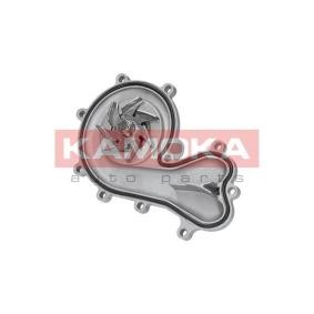Acquista Pompa acqua da KAMOKA T0036 a buon mercato per soli 39,25 €