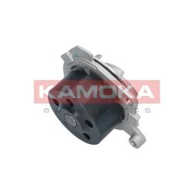 Osta Vesipumppu KAMOKA:llä T0058 edullisesti hintaan 44,63 €