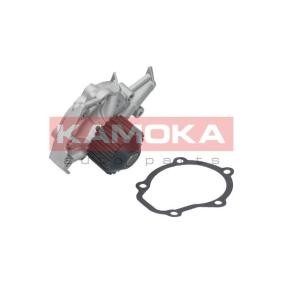 Comprar Bomba de agua de KAMOKA T0065 a bajo precio de 31,35 €