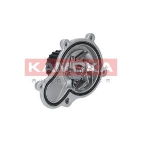 Achetez des Pompe à eau KAMOKA T0076 à prix pour 32,47 €