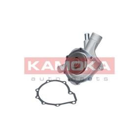 Achetez des Pompe à eau KAMOKA T0078 à prix pour 29,81 €