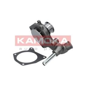 Osta Vesipumppu KAMOKA:llä T0115 edullisesti hintaan 22,71 €