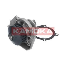 Achetez des Pompe à eau KAMOKA T0117 à prix pour 33,64 €