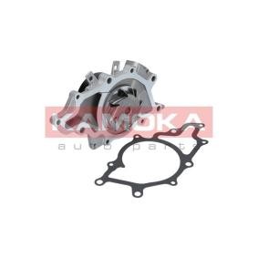 Achetez des Pompe à eau KAMOKA T0168 à prix pour 66,06 €