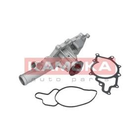 Achetez des Pompe à eau KAMOKA T0202 à prix pour 67,91 €