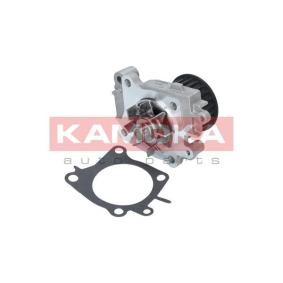 Achetez des Pompe à eau KAMOKA T0206 à prix pour 36,26 €
