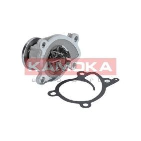 Acquista Pompa acqua da KAMOKA T0215 a buon mercato per soli 22,54 €