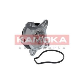 Acquista Pompa acqua da KAMOKA T0262 a buon mercato per soli 49,76 €