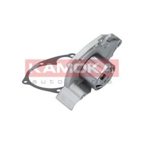 Acquista Pompa acqua da KAMOKA T0263 a buon mercato per soli 40,24 €