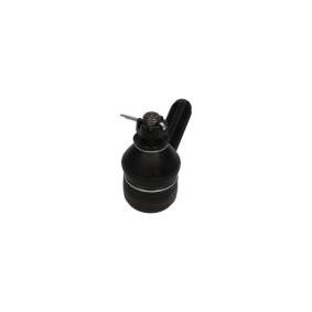 Acquista Galoppino guidacinghia, cinghia Poly-V da KAVO PARTS DIP-9056 a buon mercato per soli 32,29 €