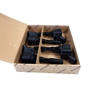 Acquista Bobina d'accensione da EFI AUTOMOTIVE 155207P a buon mercato per soli 379,85 €