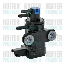 Compre Conversor de pressão, turbocompressor da HOFFER 8029363 a um preço baixo por 48,17 €