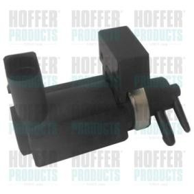Acquista Convertitore pressione, Controllo gas scarico da HOFFER 8029732 a buon mercato per soli 157,59 €