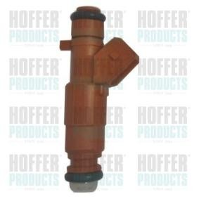 Compre Válvula injectora da HOFFER H75114803 a um preço baixo por 29,41 €