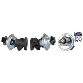 Acquista Valvola EGR da DRI 717710265 a buon mercato per soli 376,37 €