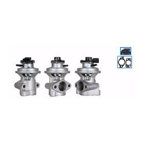 Acquista Valvola EGR da DRI 717710312 a buon mercato per soli 207,55 €