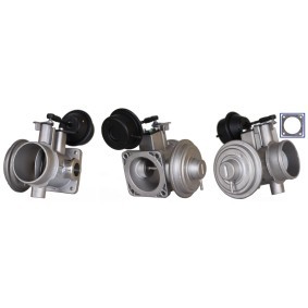 Acquista Valvola EGR da DRI 717710336 a buon mercato per soli 247,80 €