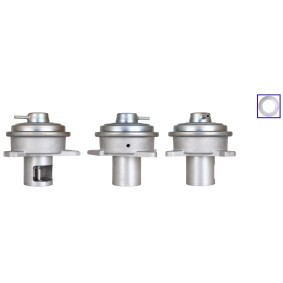 Acquista Valvola EGR da DRI 717710344 a buon mercato per soli 227,97 €