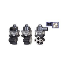 Acquista Valvola EGR da DRI 717730297 a buon mercato per soli 630,51 €