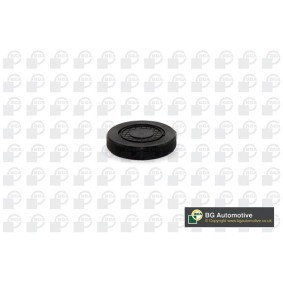 Acquista Tappo, Albero portabilanciere - Foro per montaggio da BGA PL4602 a buon mercato per soli 1,91 €