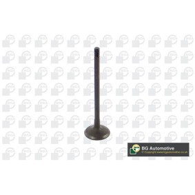 Comprar Válvula de admisión de BGA V362211 a bajo precio de 12,28 €