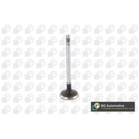 Acquista Valvola di aspirazione da BGA V424831 a buon mercato per soli 6,60 €