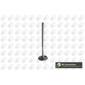 Comprar Válvula de admisión de BGA V560013 a bajo precio de 24,74 €