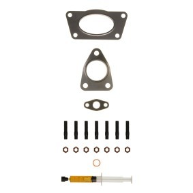Compre Kit de montagem, turbocompressor da ALANKO 10920472 a um preço baixo por 33,54 €
