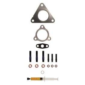Compre Kit de montagem, turbocompressor da ALANKO 10920590 a um preço baixo por 30,36 €