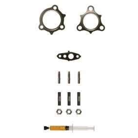 Acquista Kit montaggio turbocompressore da ALANKO 10920905 a buon mercato per soli 50,33 €