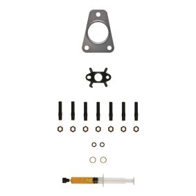 Compre Kit de montagem, turbocompressor da ALANKO 10920920 a um preço baixo por 22,60 €