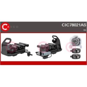 Riemenscheibe, Generator für RENAULT von CASCO