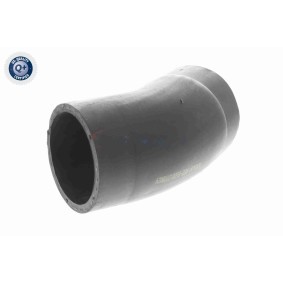 Achetez des Pompe à eau ACKOJA A52-0713 à prix pour 43,27 €