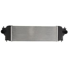 Kjøp Intercooler av THERMOTEC DA8001TT til den lave prisen 1941,10 NOK