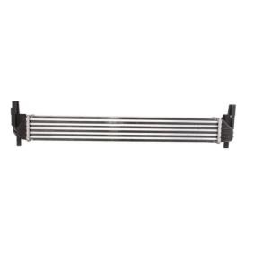 Achetez des Intercooler THERMOTEC DAA005TT à prix pour 83,53 €